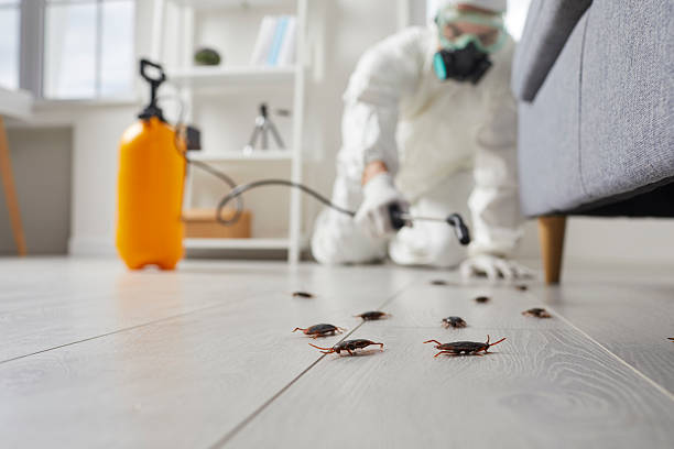 Post-Treatment Bed Bug Interceptor Monitoring in Bay Park