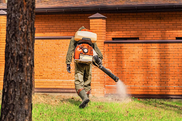 Bed Bug Clearance Verification and Documentation in Bay Park